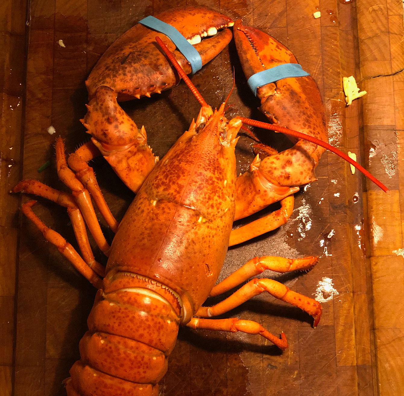 chef-pieter-chevalier-lobster lobster
